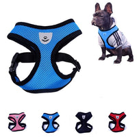 Harnais pour chien Chihuahua Bichon Chihuahua Accessoires pour chien Chien de compagnie Accessoires pour chien Laisse pour chien Fournitures pour animalerie Colliers pour chien de compagnie